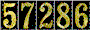 Hit Counter